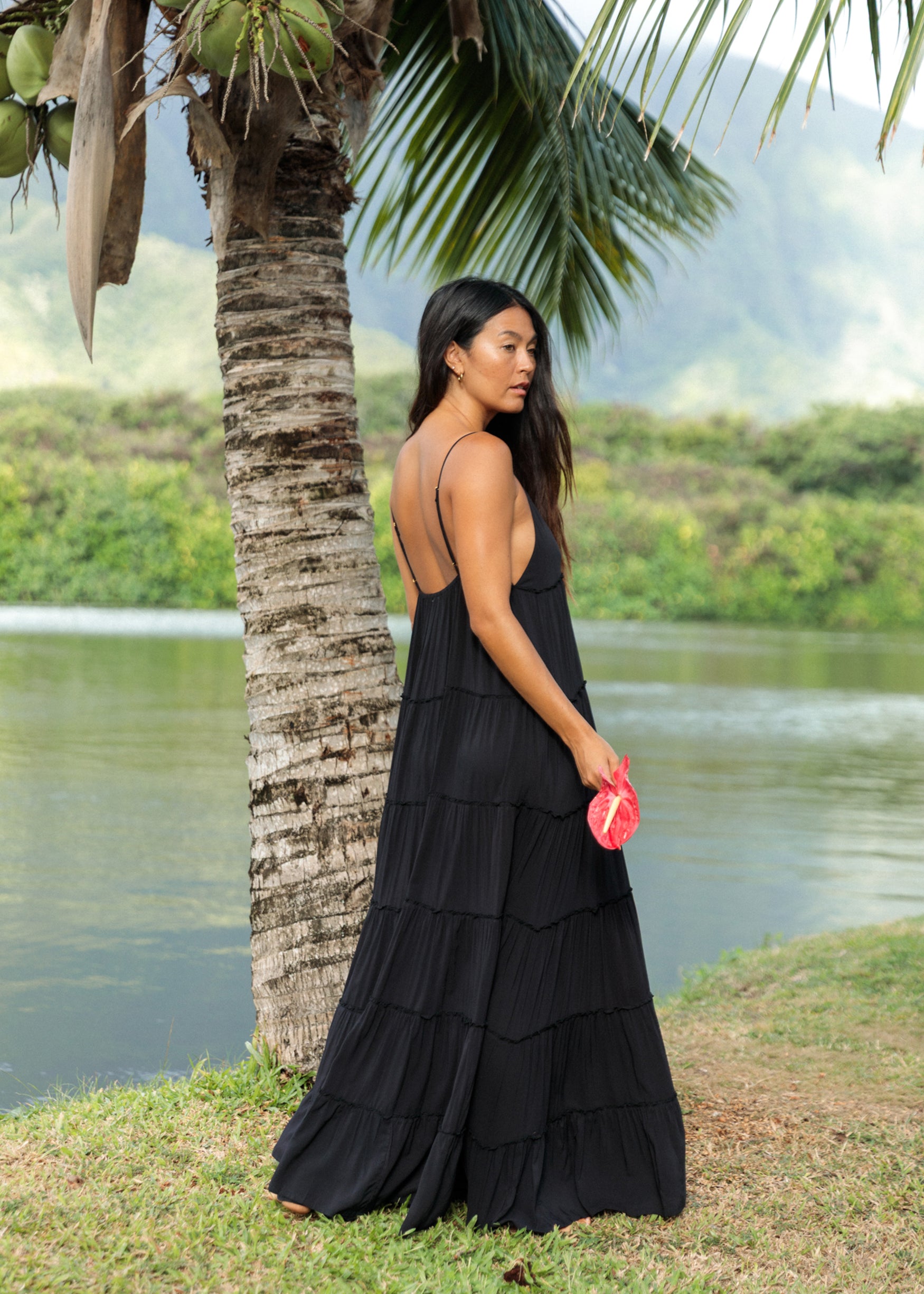 CHARLIE MAXI | MAI Feline / L CHARLIE MAXI | MAI Feline / L